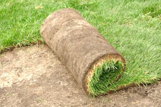 grass-sod-laying